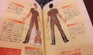OK本筋肉図