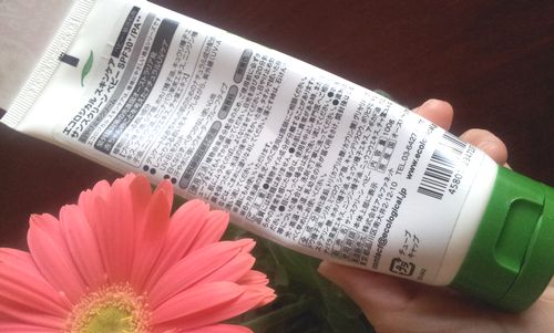 エコロジカルサンスクリーン裏