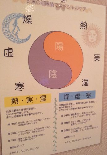 陰陽論