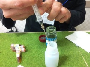 緑茶エキス注入
