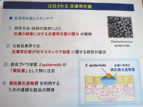 slide3