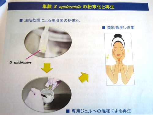 slide6