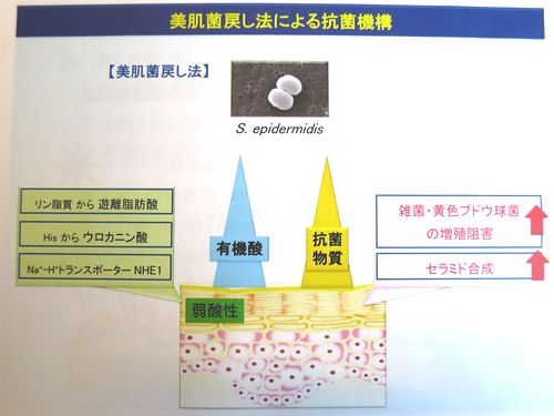 slide8
