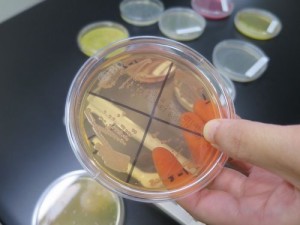 工場見学20