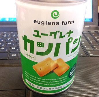 euglena1