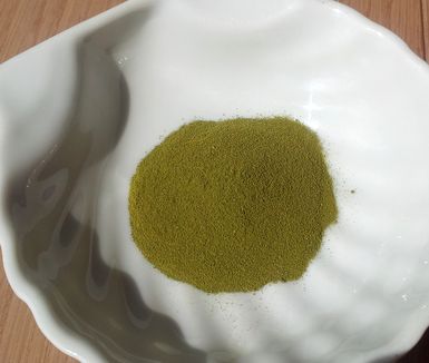 euglena6
