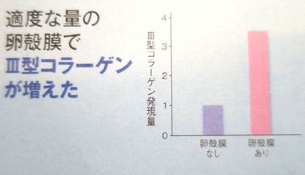 type3collagen