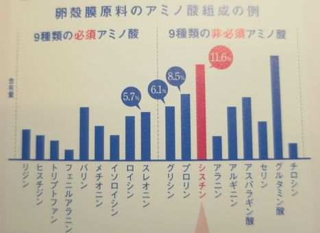 卵殻膜アミノ酸組成