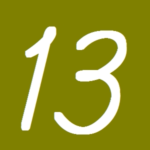 １３