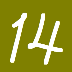 １４