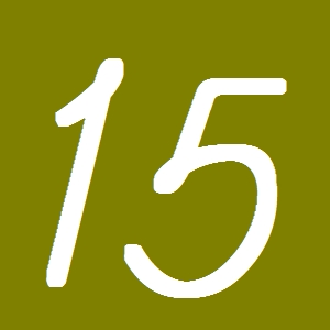 １５
