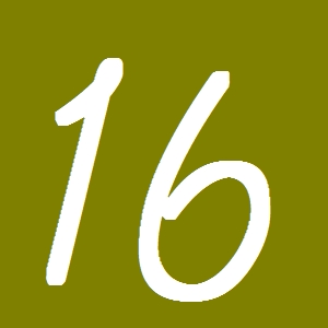 １６