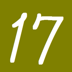 １７
